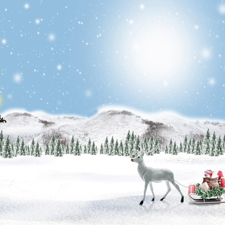 7x5ft Winter Photography Background Christmas Backdrops Snow Photo Booth Props