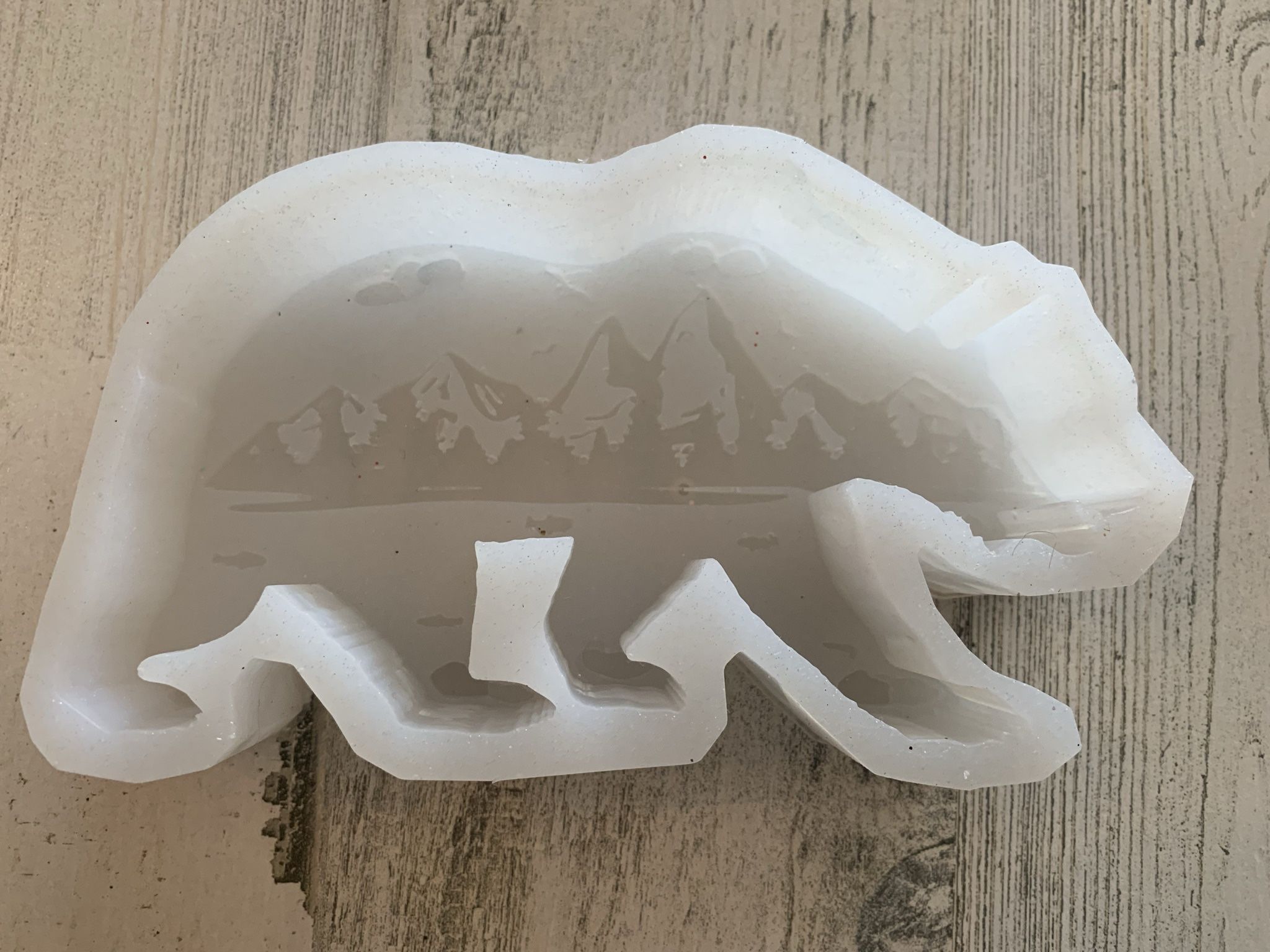 Silicone Molds