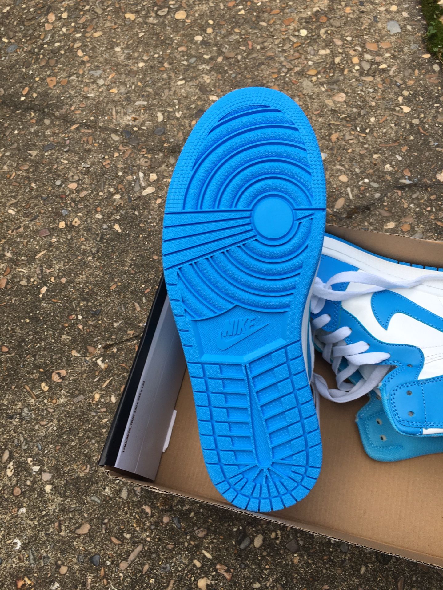 Jordan 1 Retro size 12