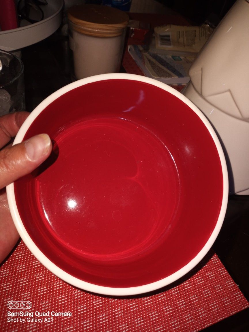 Rae Dunn Christmas Cookie Jar And Dog Bowl