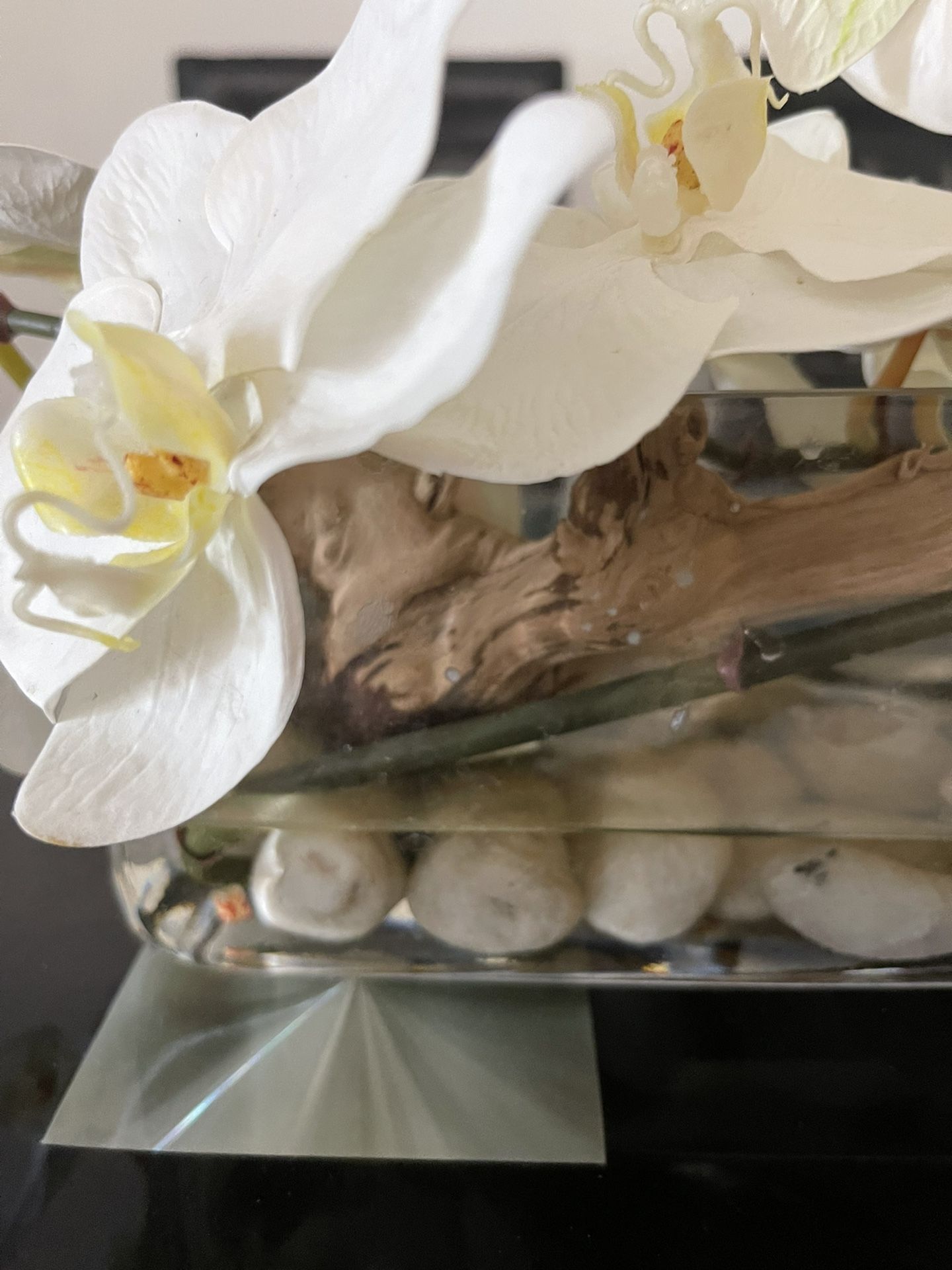 Orchids Floral Arrangement In Planter