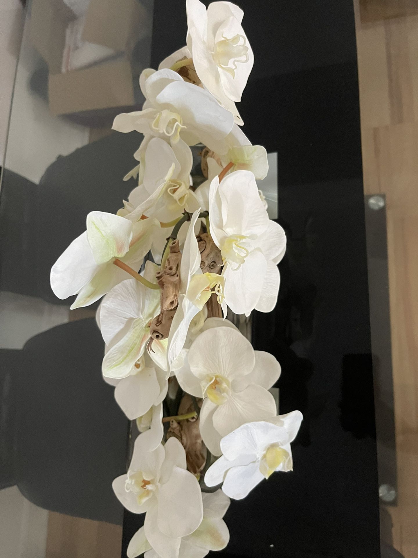 Orchids Floral Arrangement In Planter