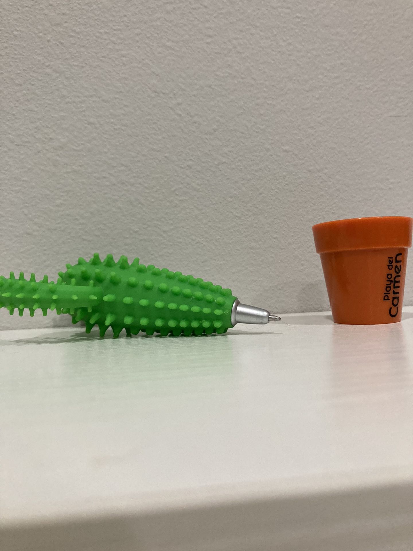 A Cactus Pen With A Normal Pen