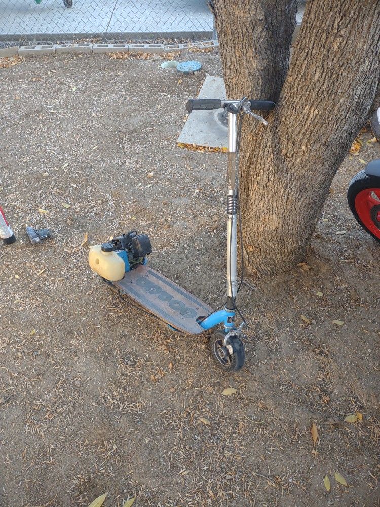 Gas Scooter