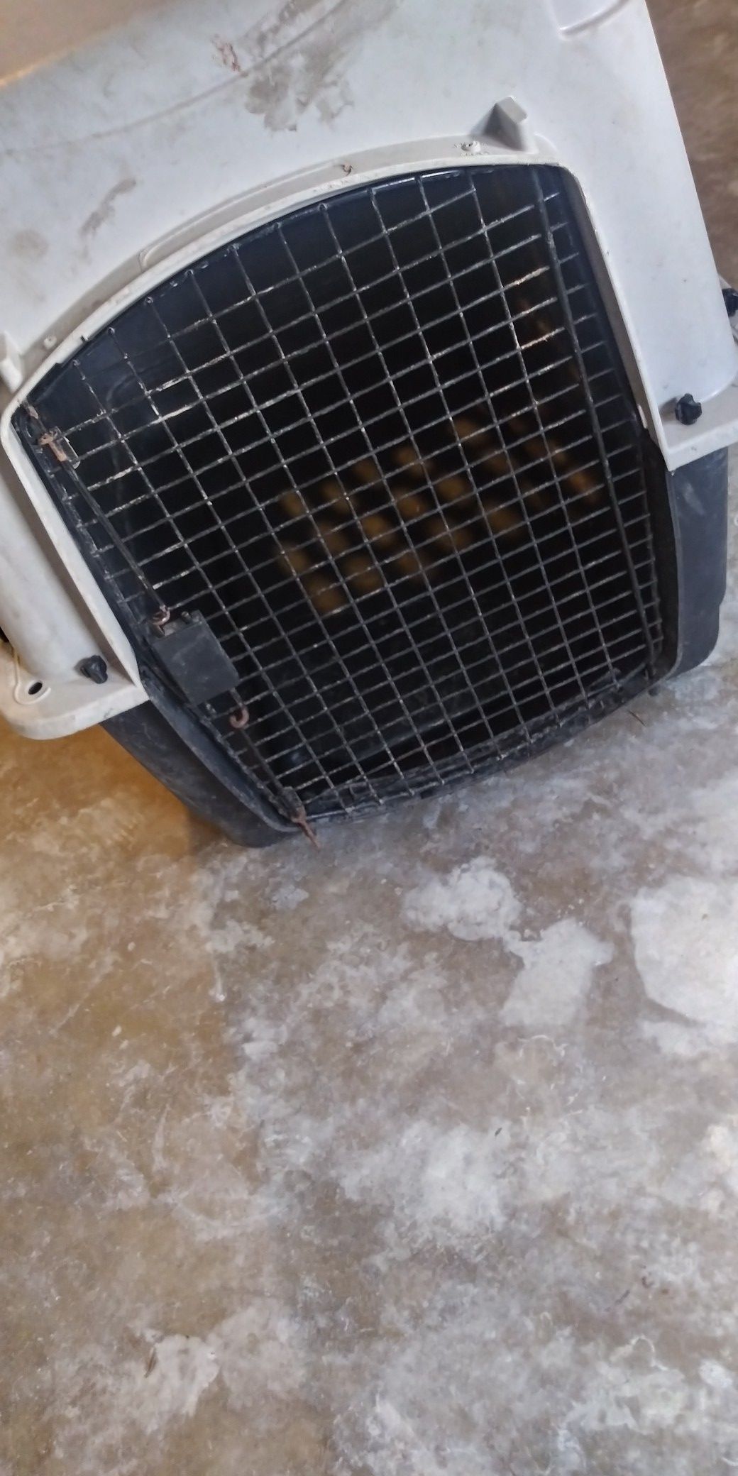 Dog cage! BIG!, good condition