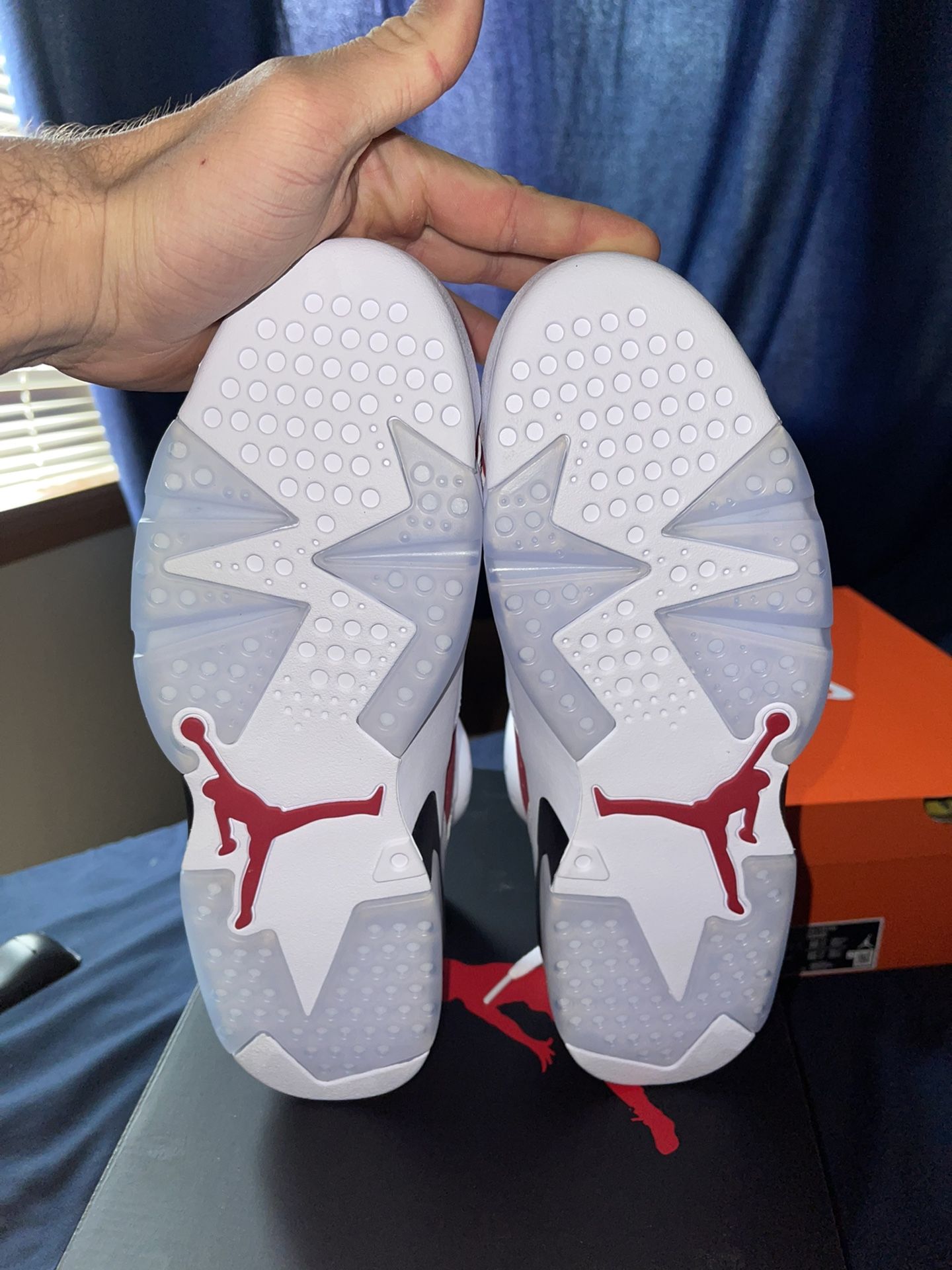 Carmine 6 Retro Jordan Size 12 And 14