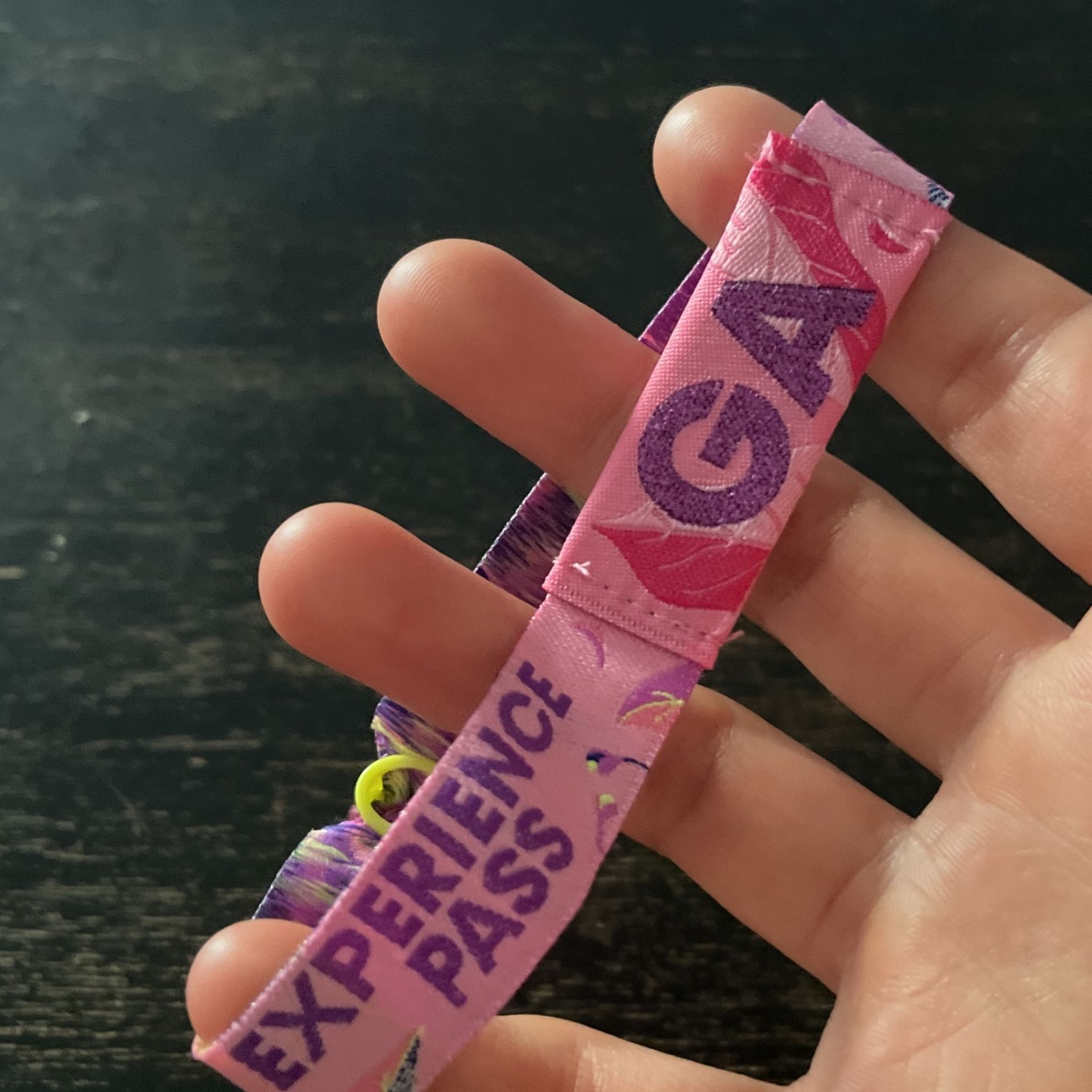 3 day EDC Ga Wristband