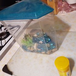 CUTE SMALL FISH TANK WITH BETA FISH FOOD AS WELL AS ALL THE DECOR ASKING $20 MUST PICK UP 73RD AVE AND INDIAN SCHOOL WILLING TO MAKE DEAL'S CHECK OUT  Thumbnail