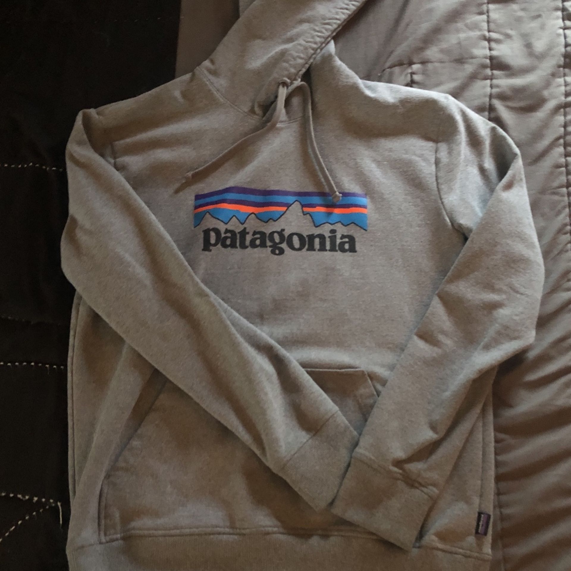 Patagonia, Hooded Sweatshirt, Gray, Men’s M