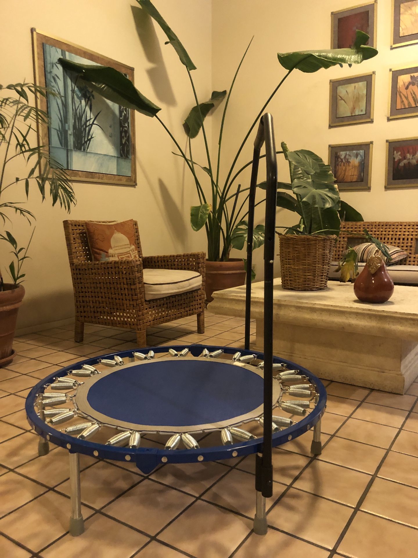 Needak Blue Rebounder folding Soft Bounce w Stabilizing Balance Bar and Cover