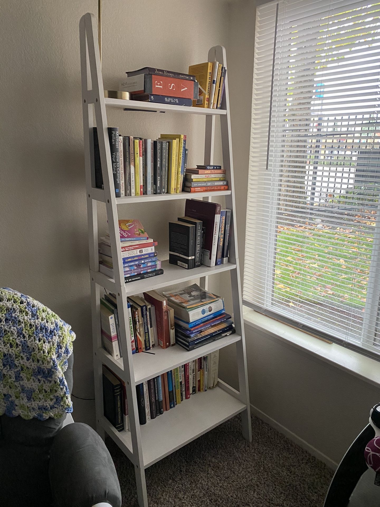 White Ladder Book Shelf