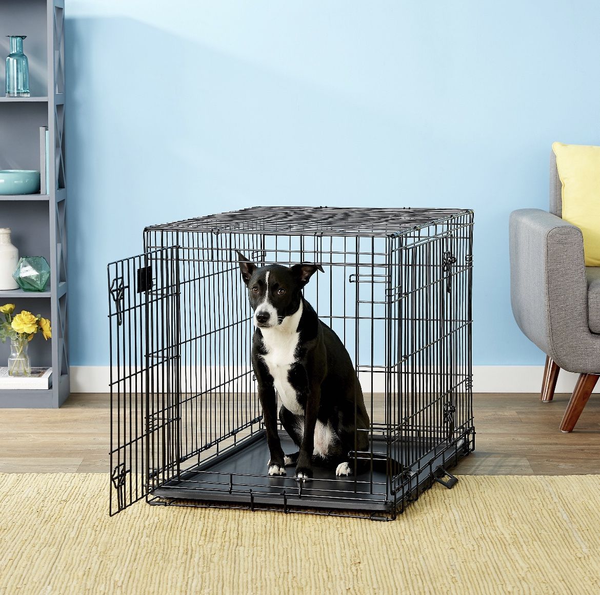Midwest Lifestages Double Door Collapsible Wire Crate with Divider, Intermediate