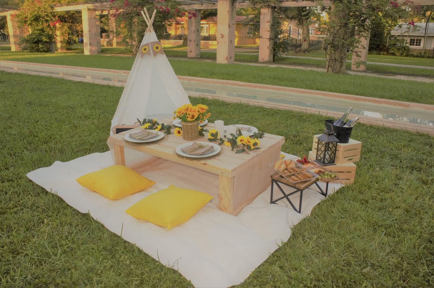 Picnic Events
