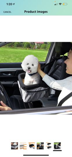 Dog Car Seat Thumbnail