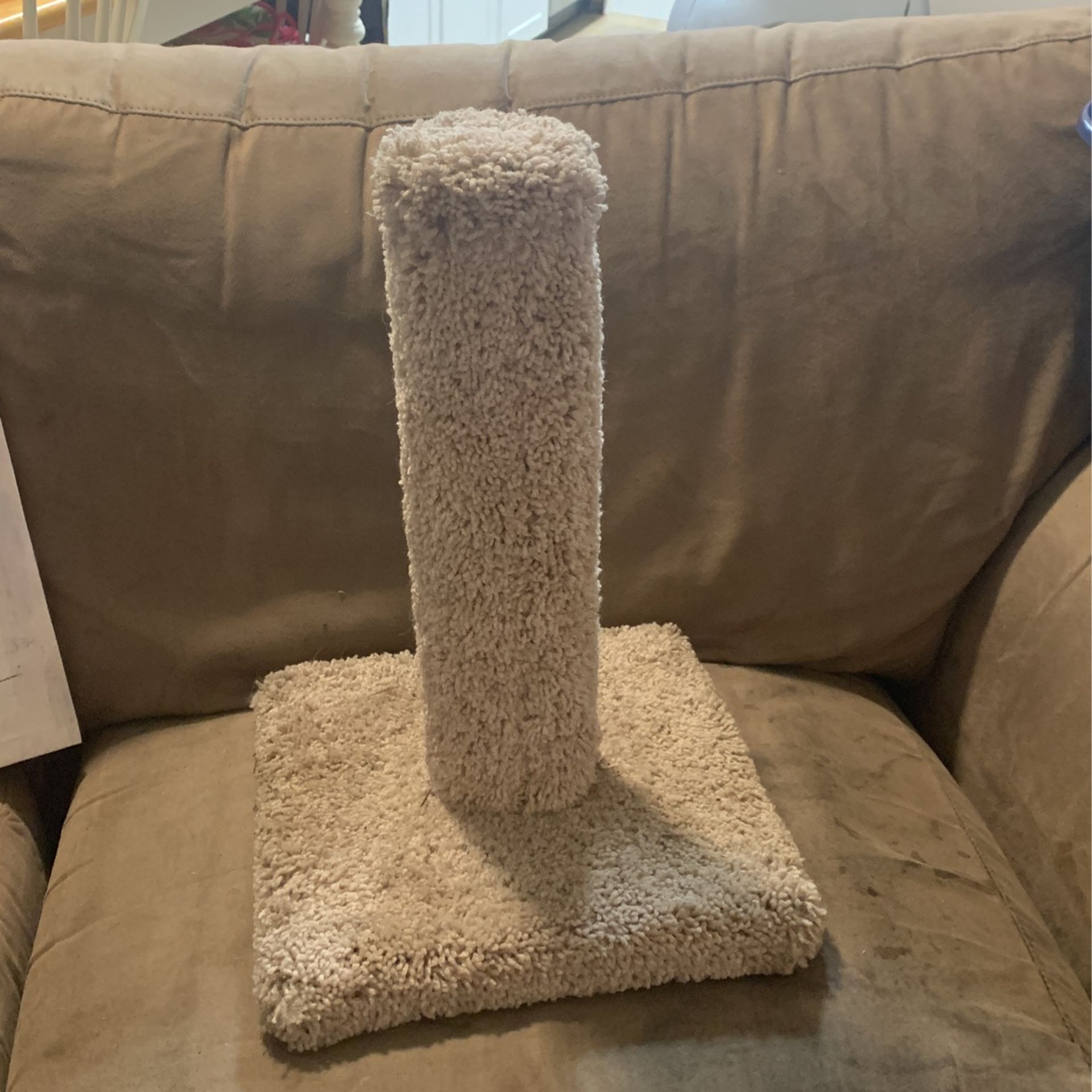 CAT SCRATCHER