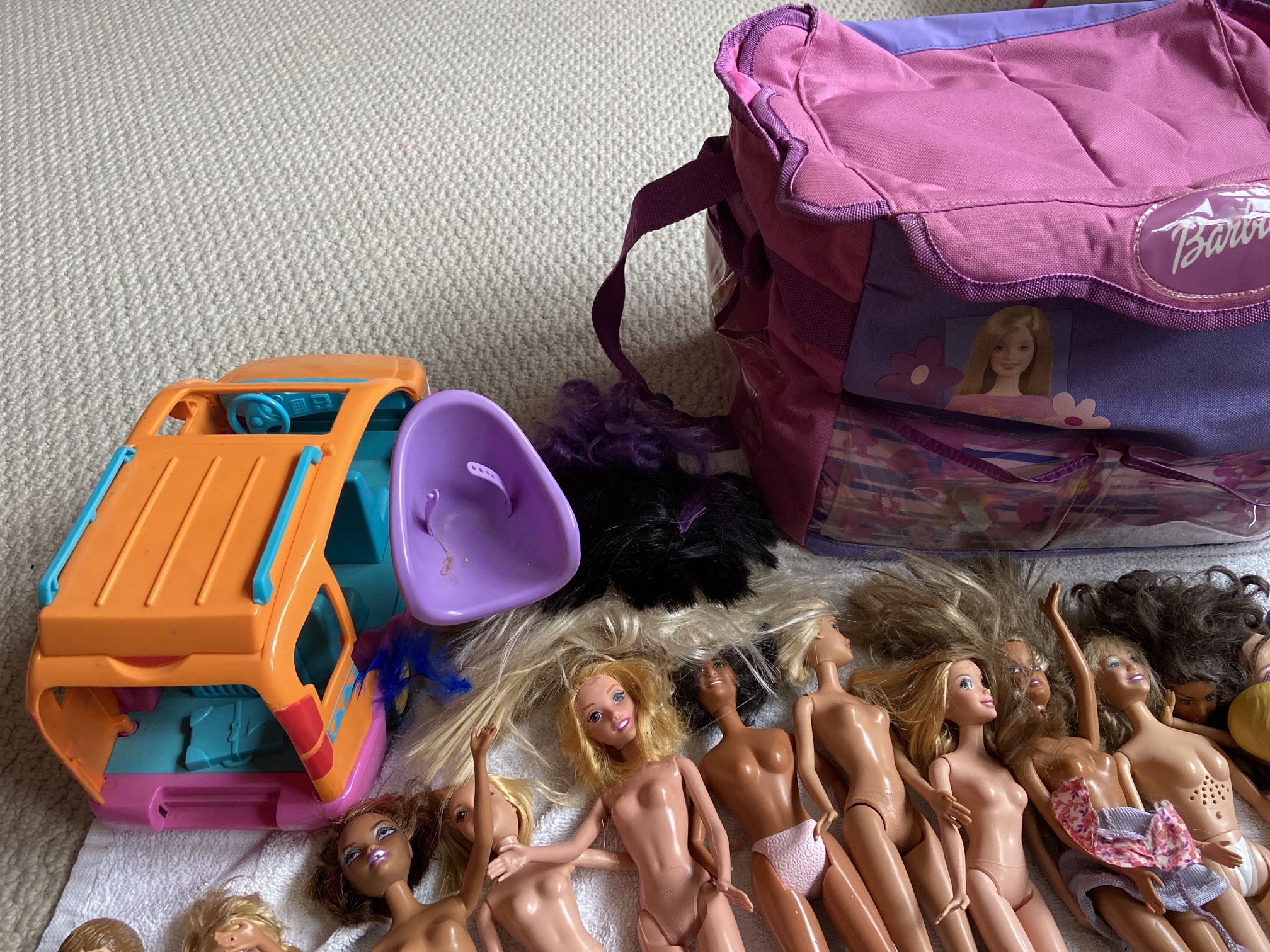 Barbie Lot Barbie bag Barbie clothes Truck
