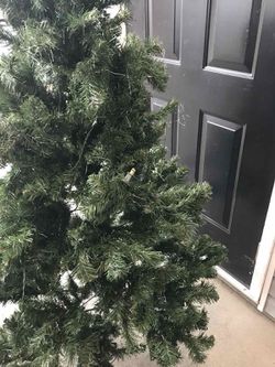 Christmas Tree  Thumbnail