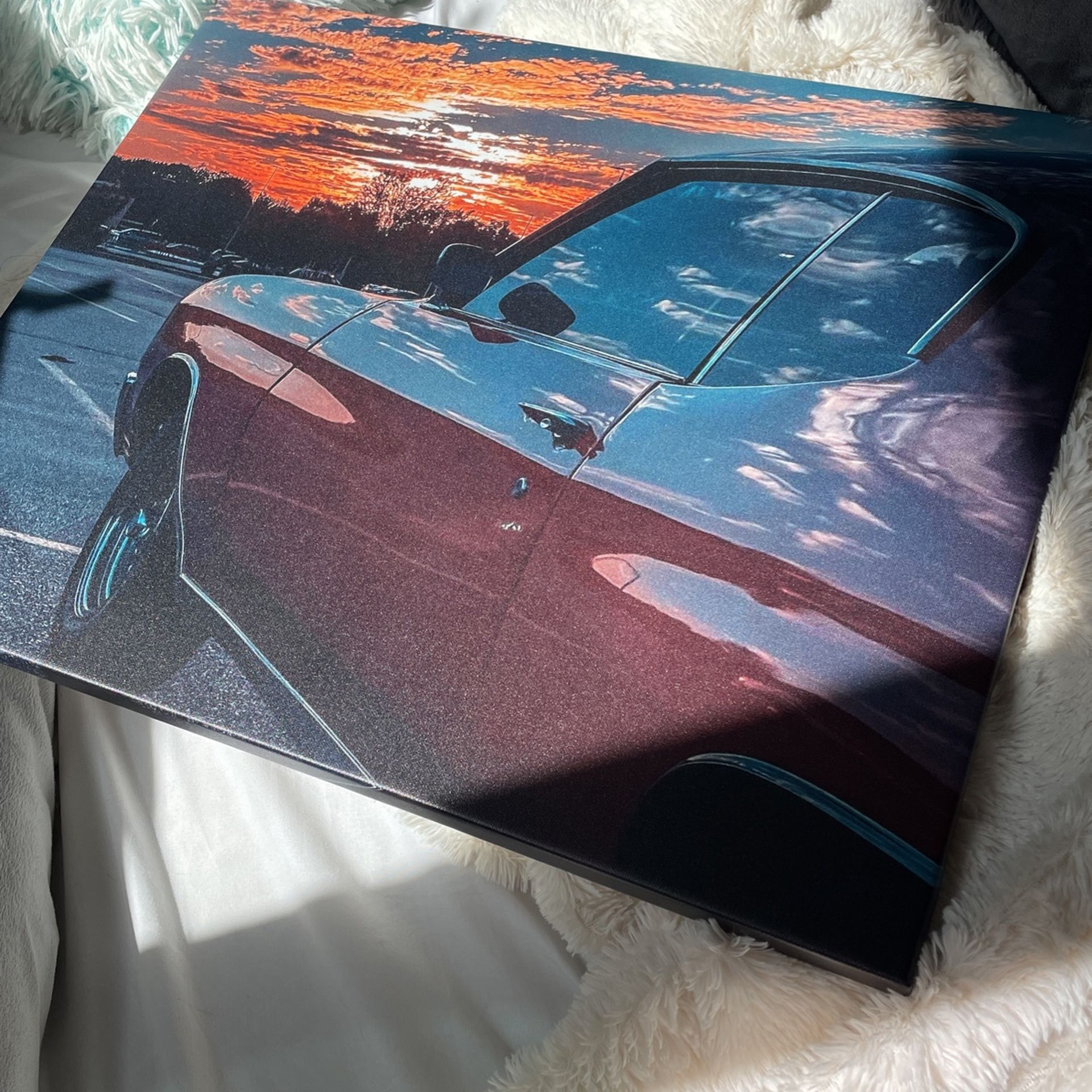 1979 Chevy Canvas Print