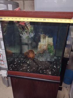 Oceanic Fish Tank For Sale  No top, Just tank and Stand Thumbnail