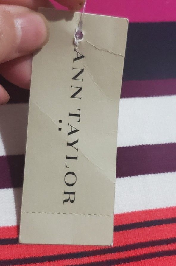 Ann Taylor Sz 6 BNWT Pencil Striped Skirt