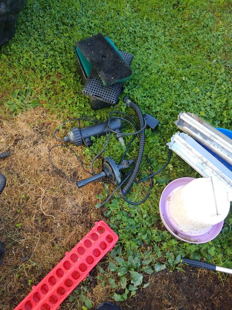 An In-ground Pond With Pump And Chicken Coop Feeders