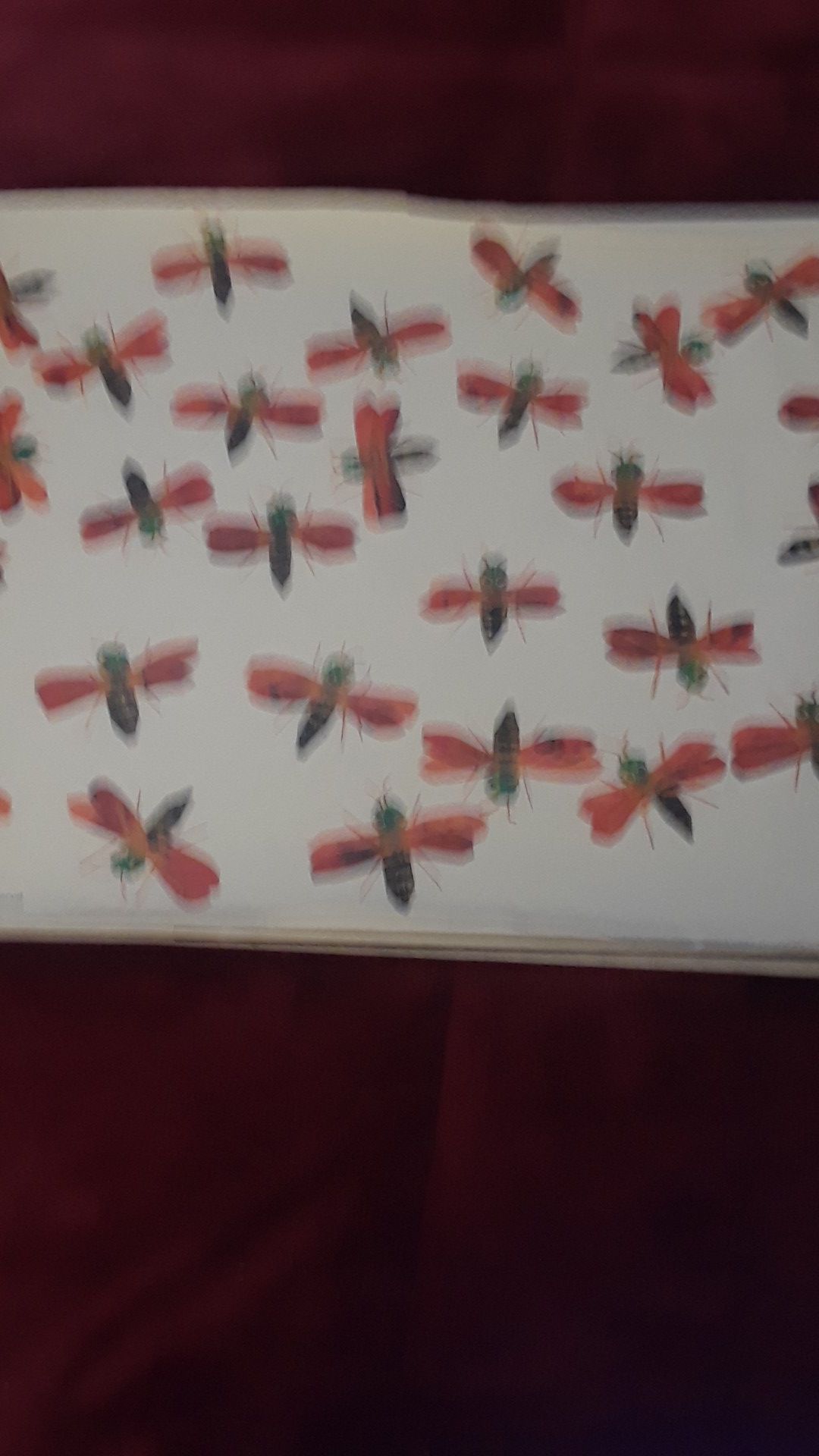 Very Lonely Firefly,The