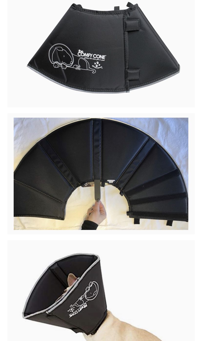 Comfy Cone By Four Paws