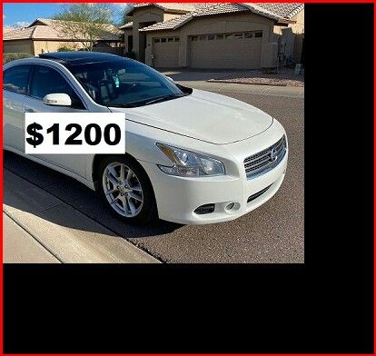 $1200 MAxima SV