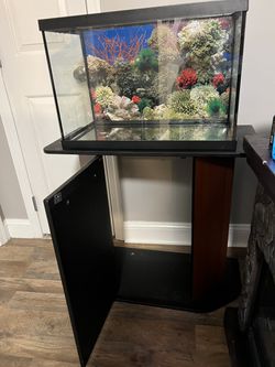  20’ Fish Tank With Stand Thumbnail