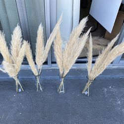 Wedding Or Home Decor Pampas Grass With Vases Thumbnail