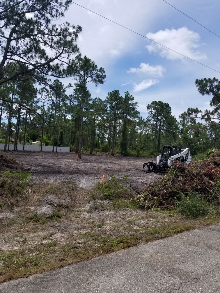LOT CLEARING / BOBCAT SERVICE / PROPERTY CLEAN UP