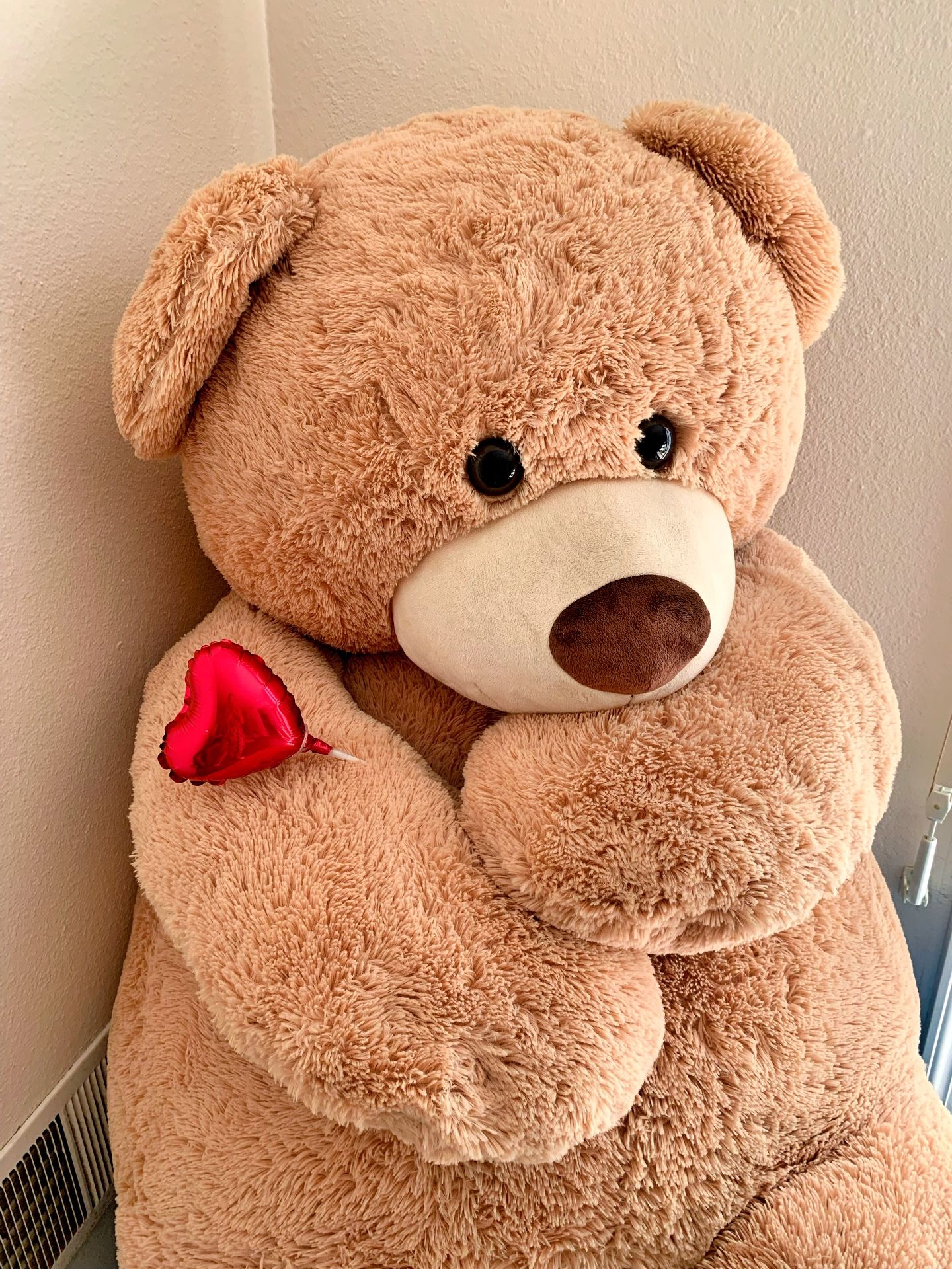 Giant Teddy Bear