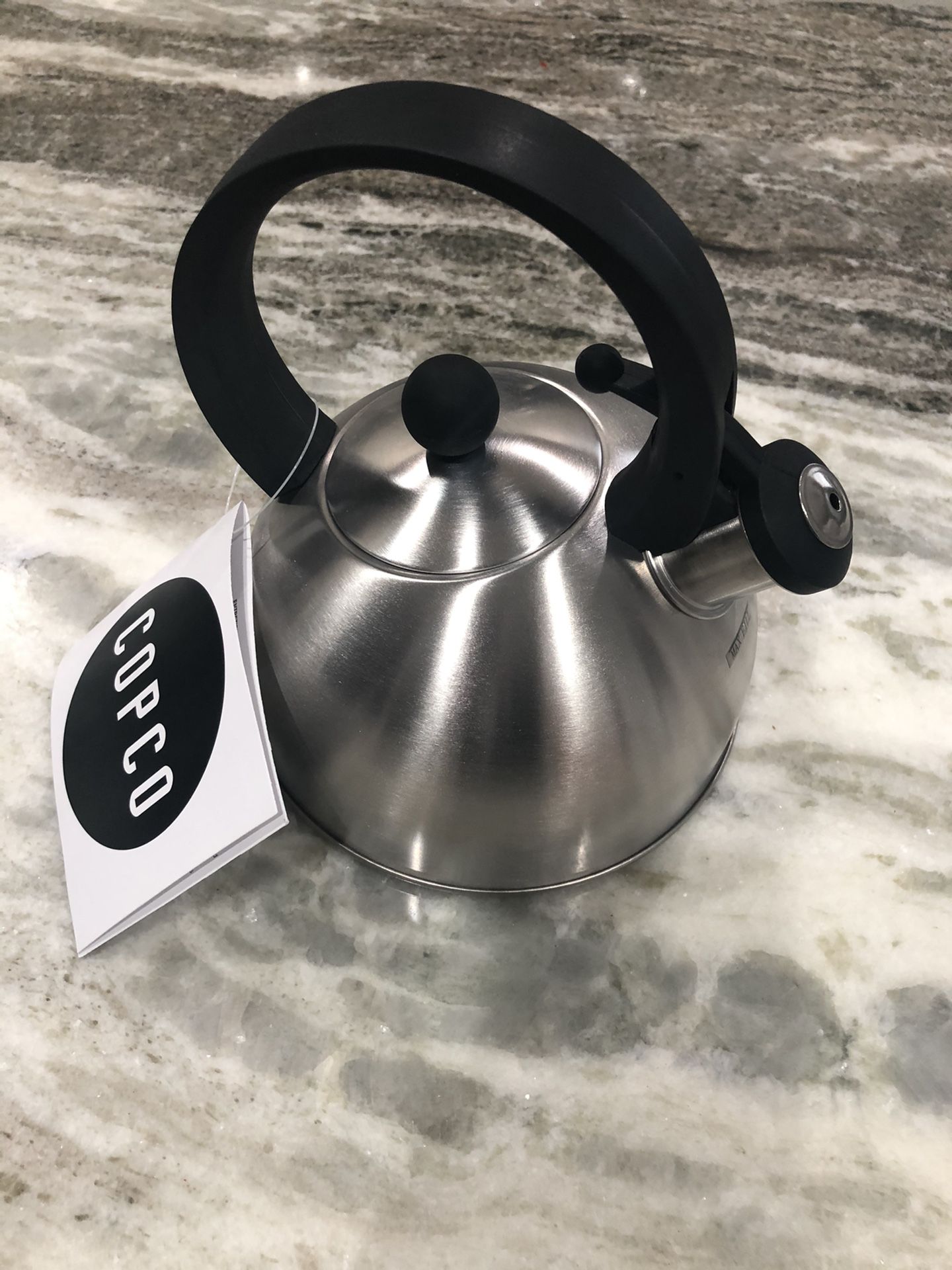 Stainless steel Tea kettle.
