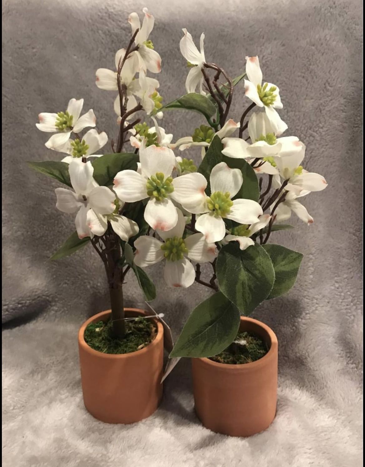 4 cts Dogwood & Magnolia beutiful Spring Flower 