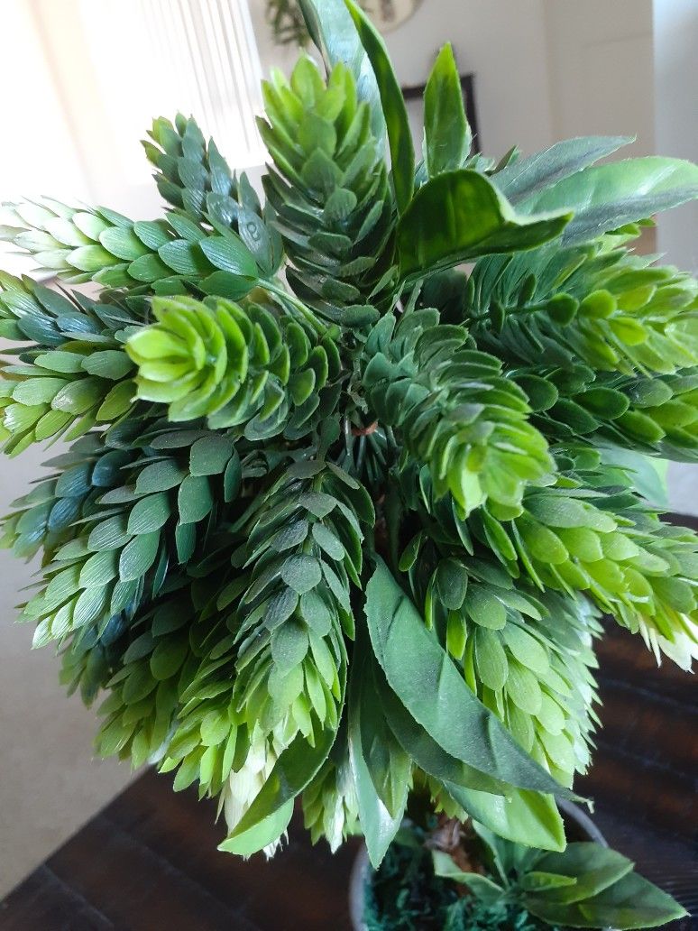 Fake Plant