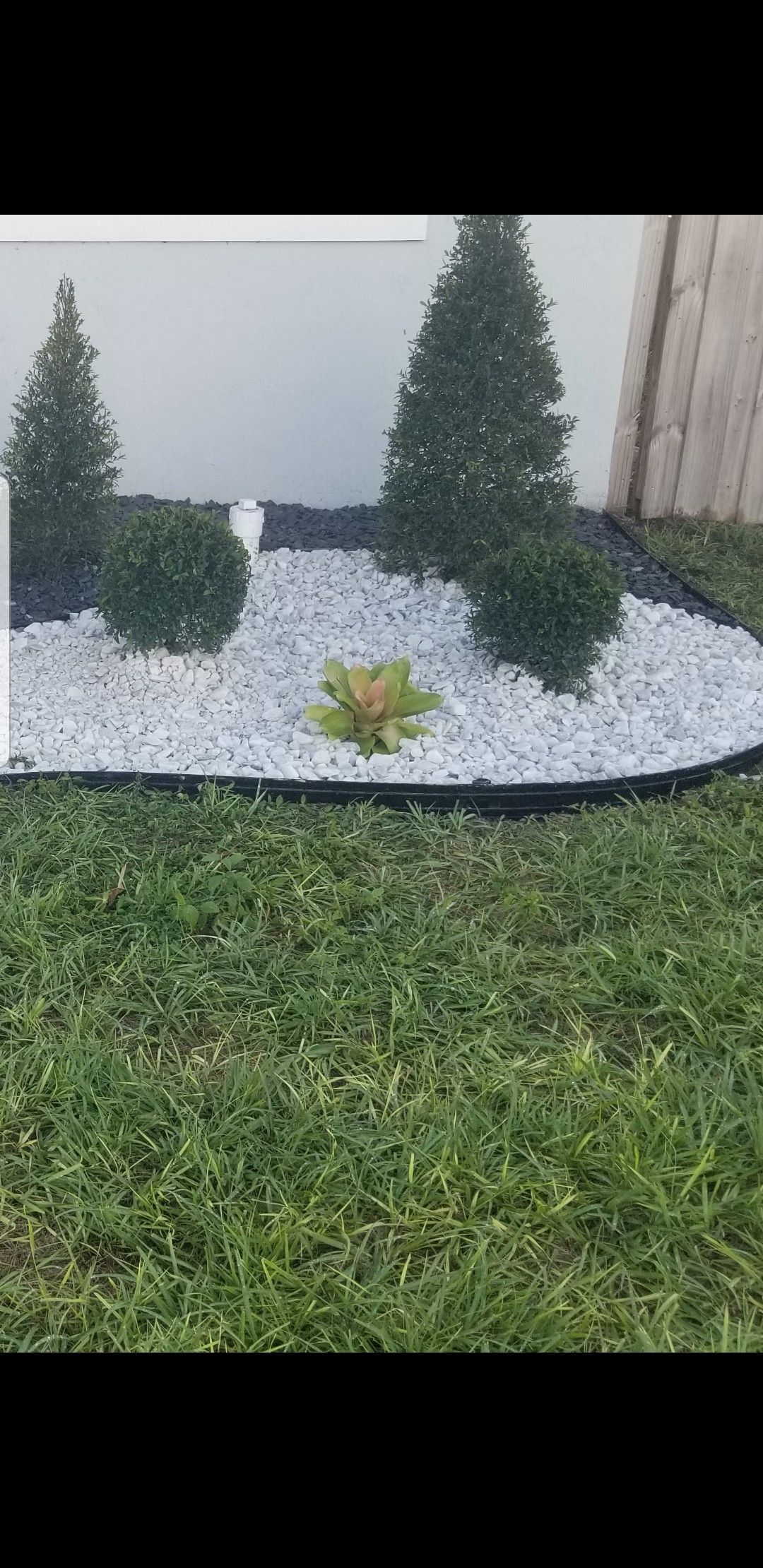 lanscaping and sprinkler