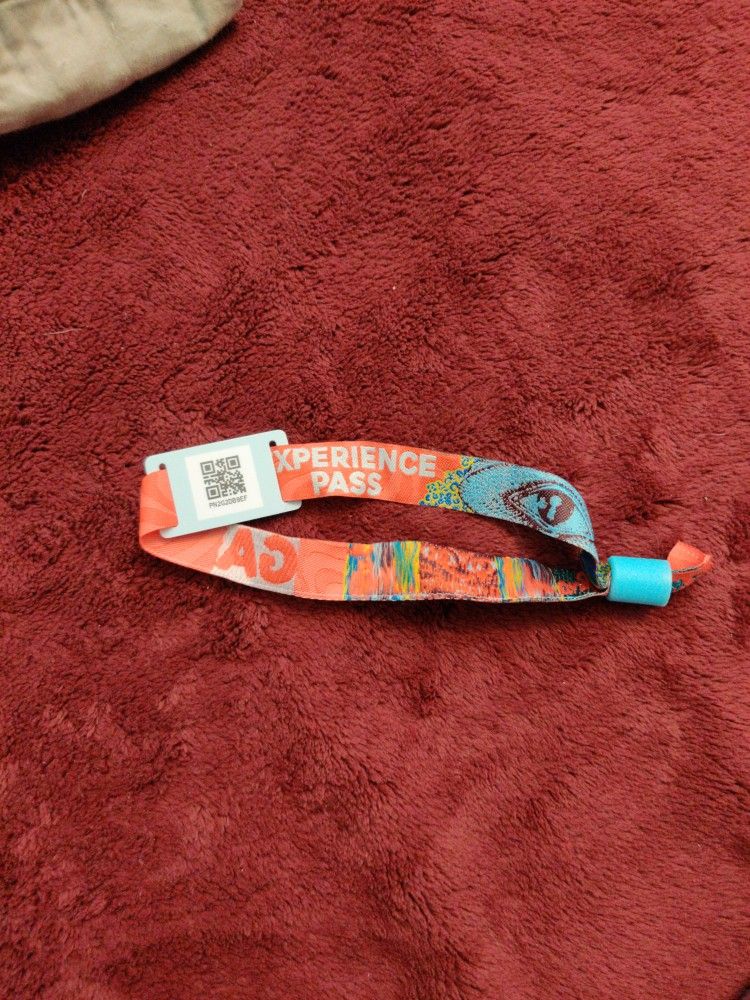 Beyond Wonderland Experience Pass