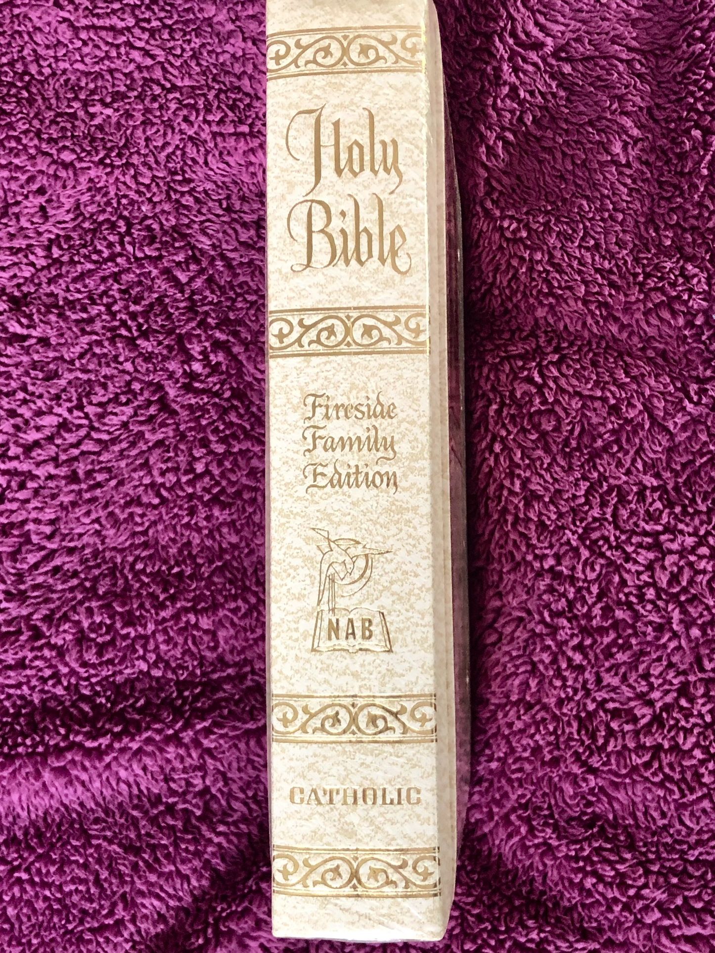 Holy Bible Fireside Family Edition NAB
