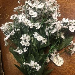 White Flowers Thumbnail