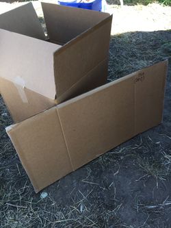 Cardboard Boxes Thumbnail