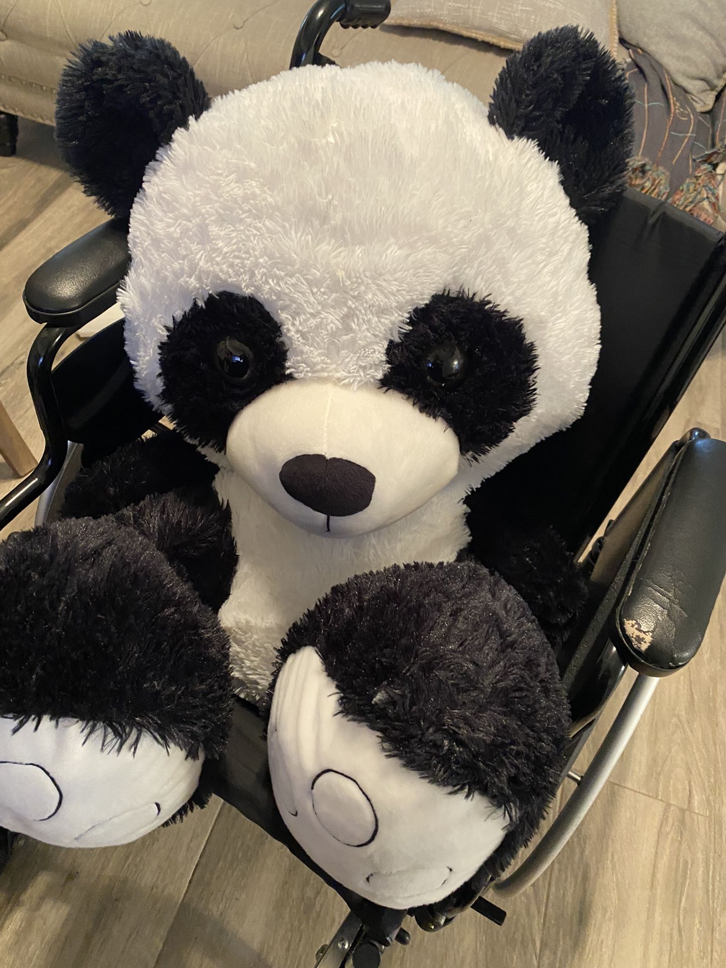 Giant Panda