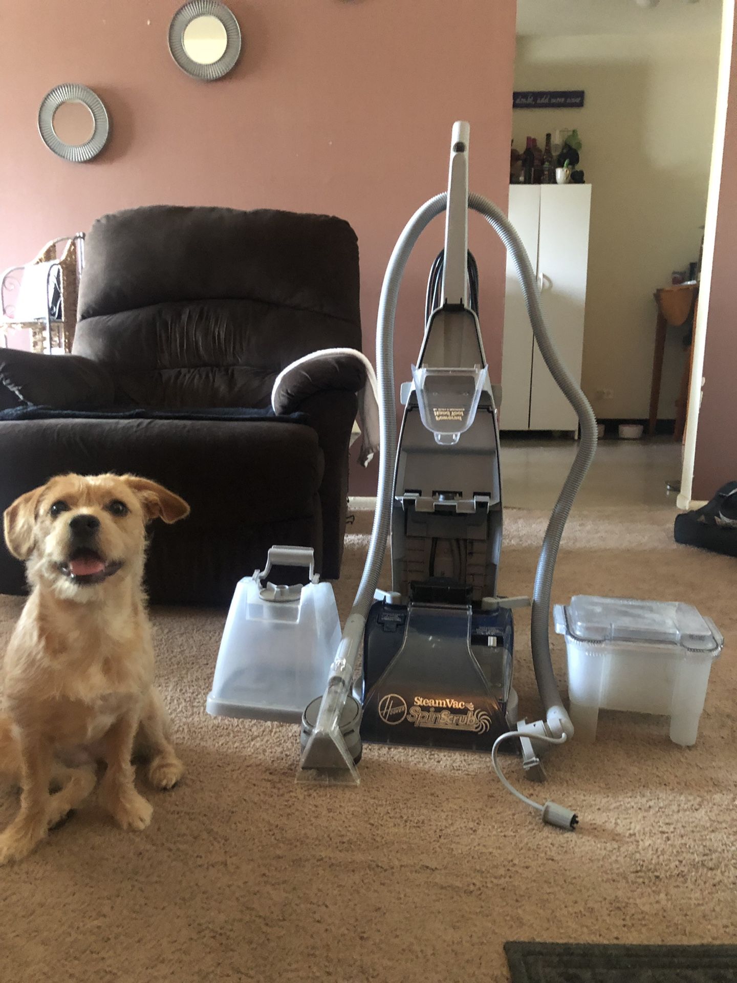 Hoover SteamVac SpinScrub with all attachments for Sale in HOFFMAN EST