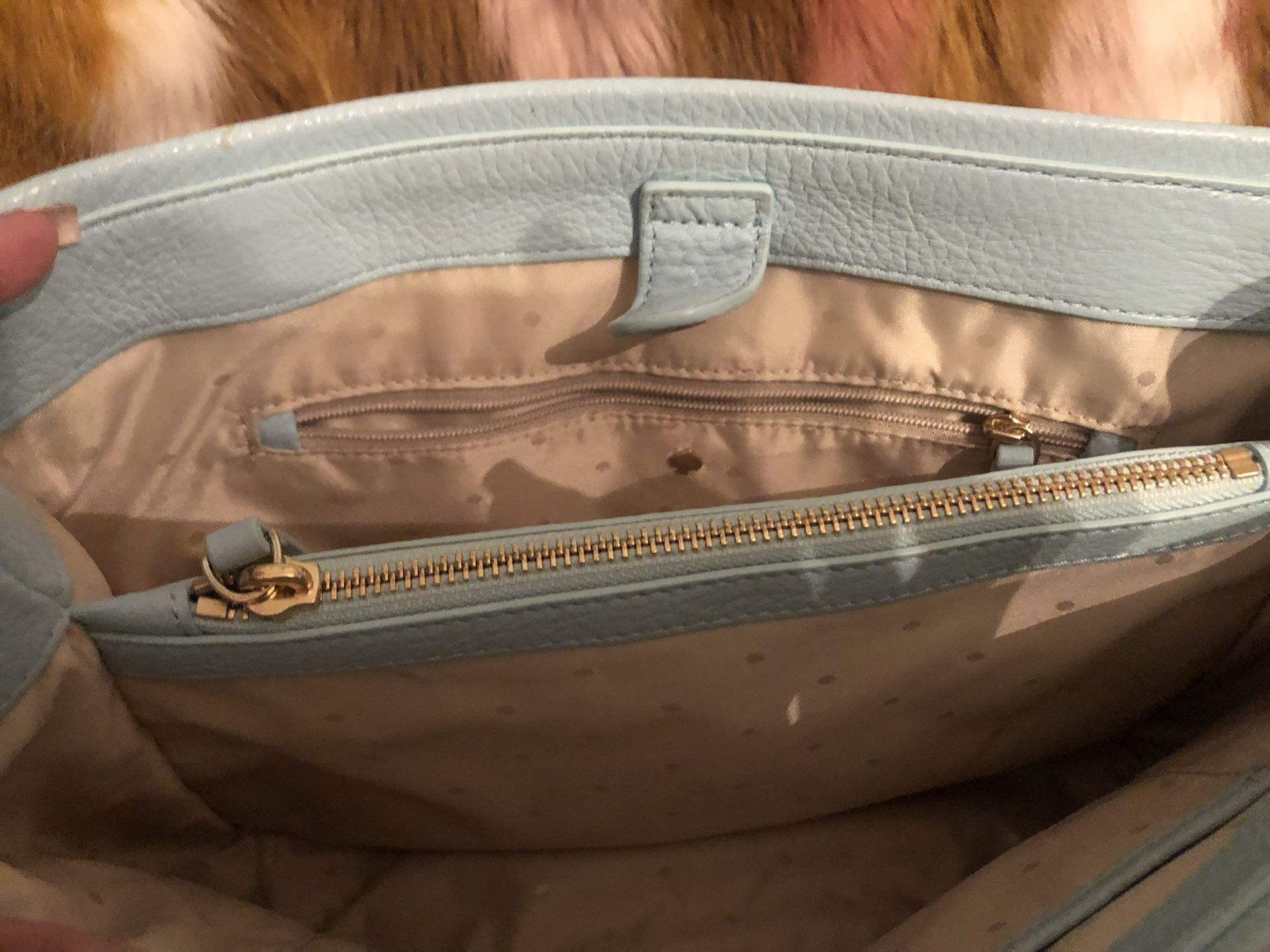Light Green Kate Spade Purse