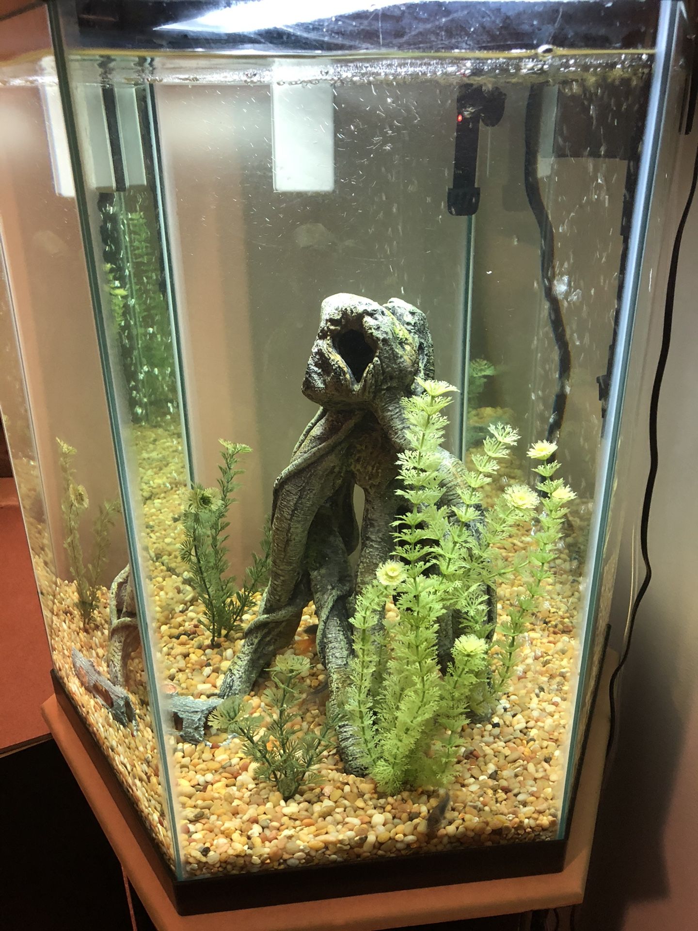 35 Gallon Hexagon Freshwater Fish Tank