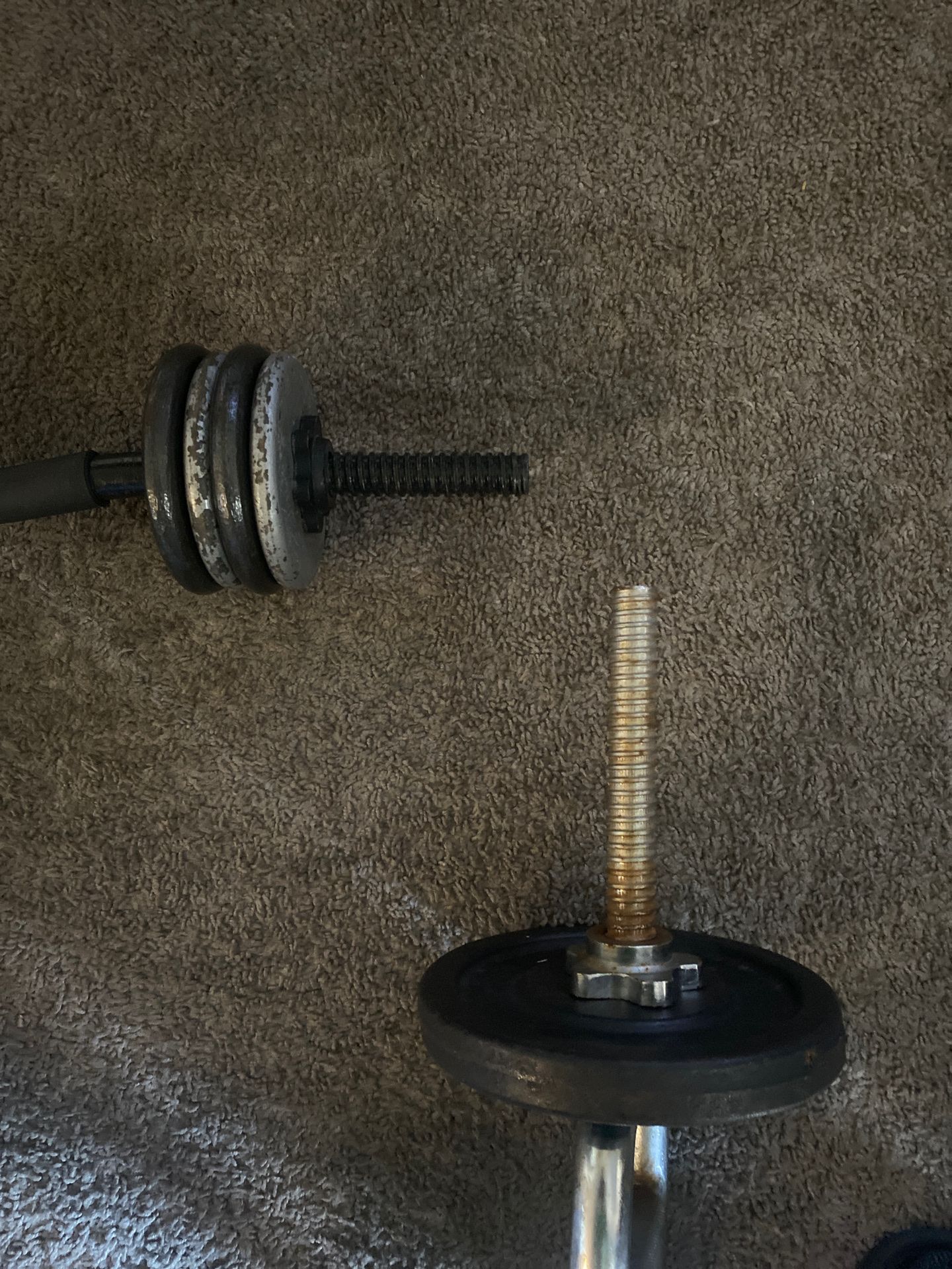 Weights good deal 40 pounds tricep bar curl bar and pull-up bar