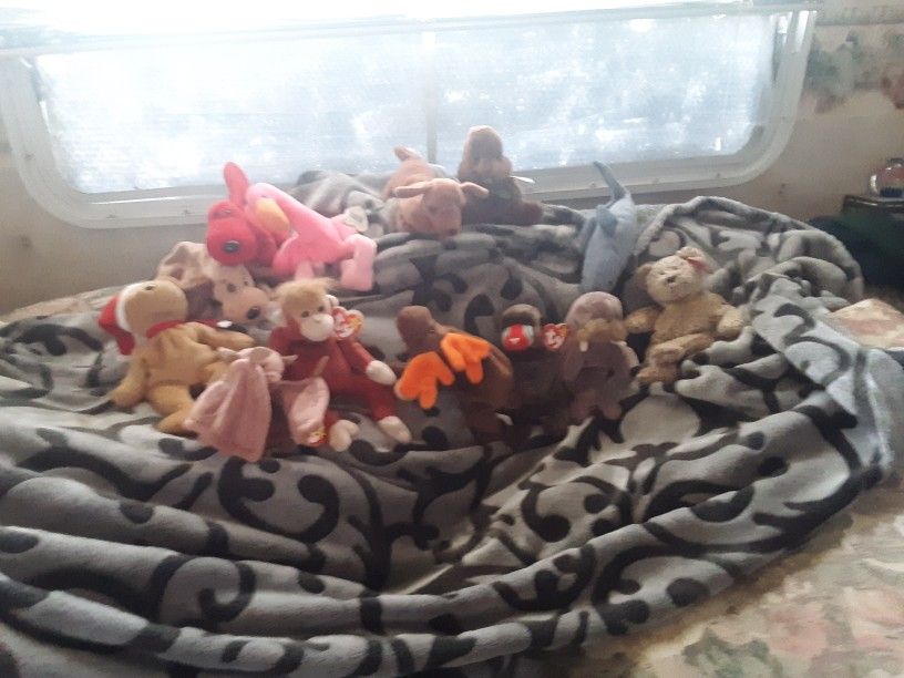 Beanie BABIES