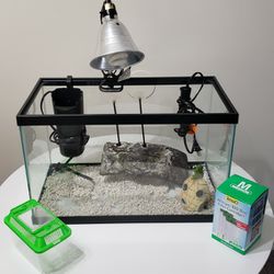 Full Setup For Pet Turtle w/ Free Food Thumbnail