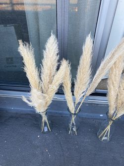 Wedding Or Home Decor Pampas Grass With Vases Thumbnail