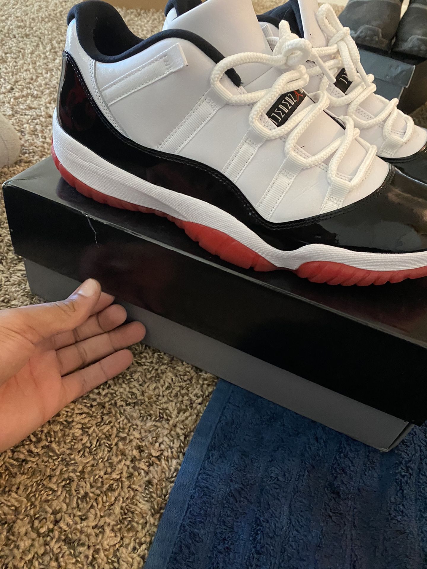 Retro Jordan Concord Bred 11s