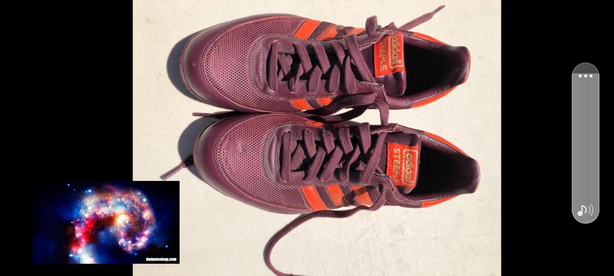 Addidas Steeple Shoe